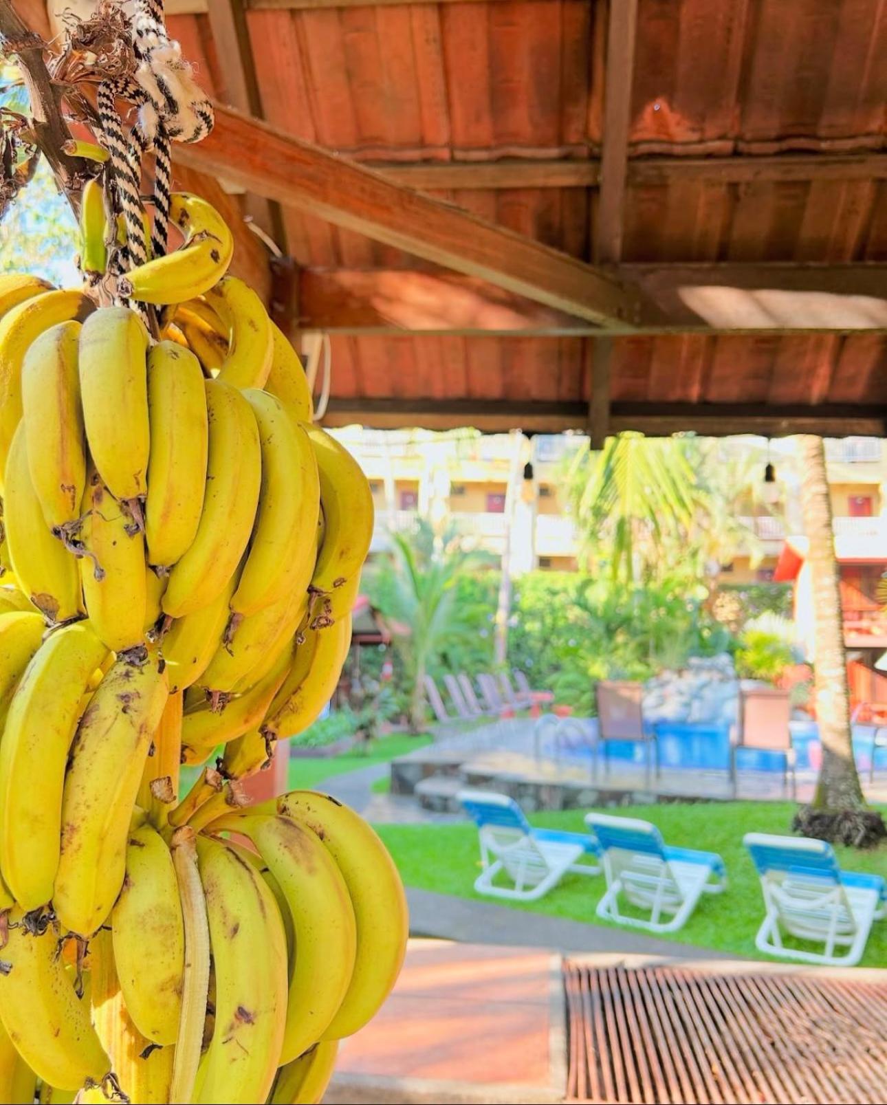 Hotel Los Ranchos Jaco Ngoại thất bức ảnh